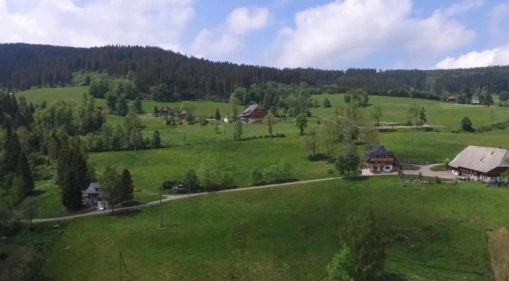 Ferienhaus Esche Хинтерцартен Экстерьер фото