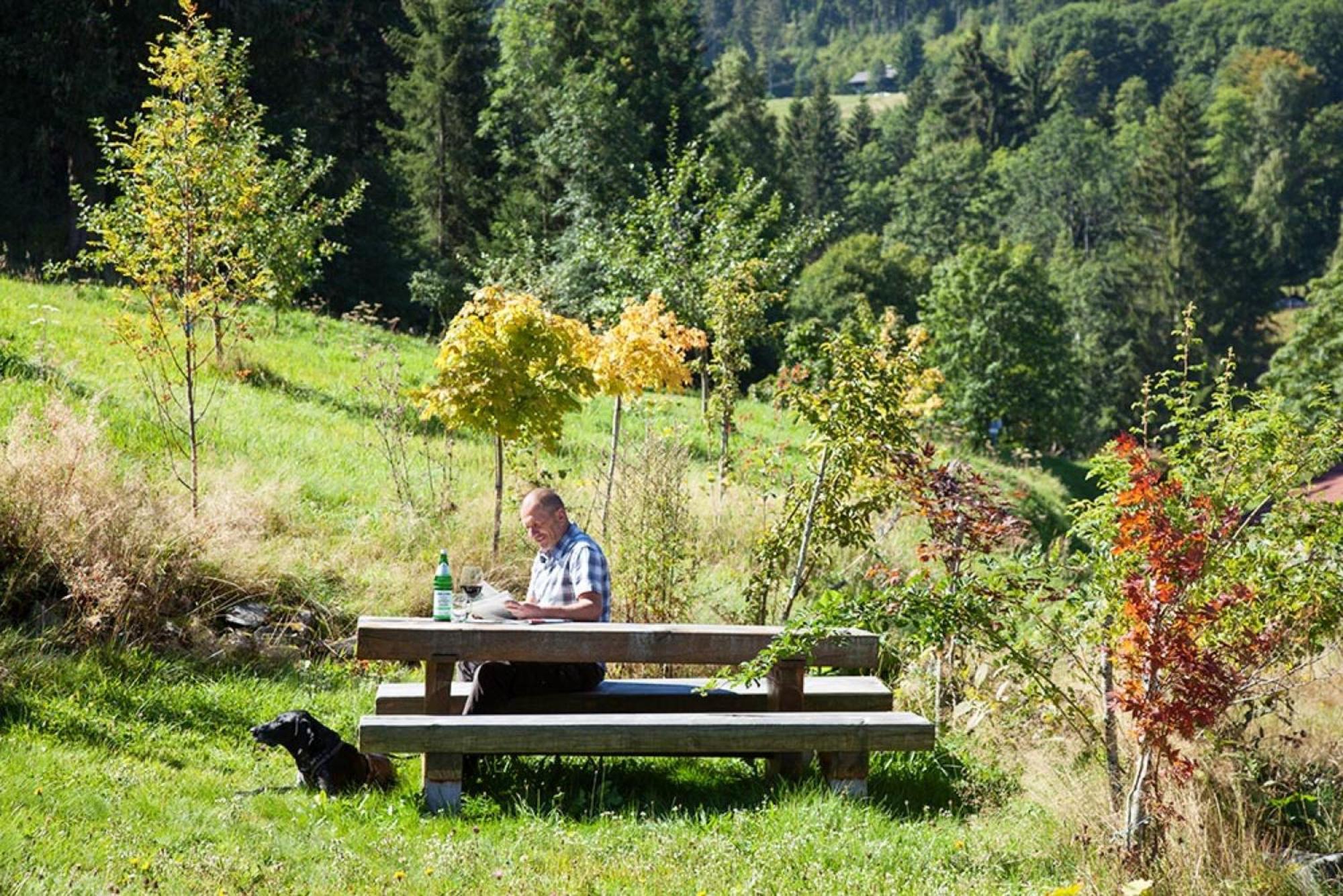 Ferienhaus Esche Хинтерцартен Экстерьер фото